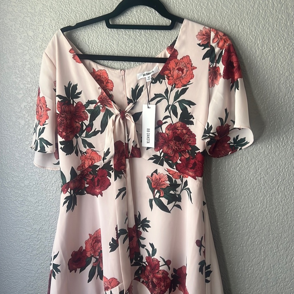 BB Dakota Dress